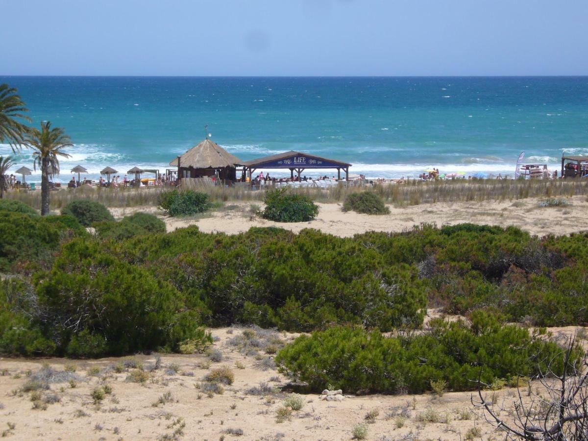 Descansa Y Disfruta De Las Mejores Playas Arenales del Sol Dış mekan fotoğraf